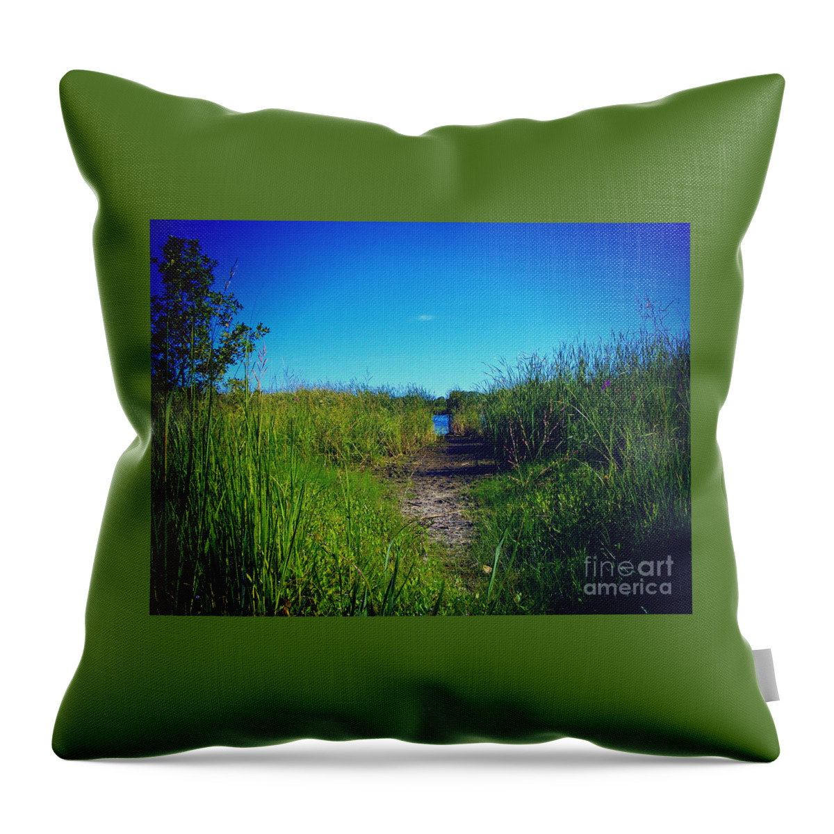 Wetlands Throw Pillow featuring the photograph Pathway to Prairie Lake by Frank J Casella