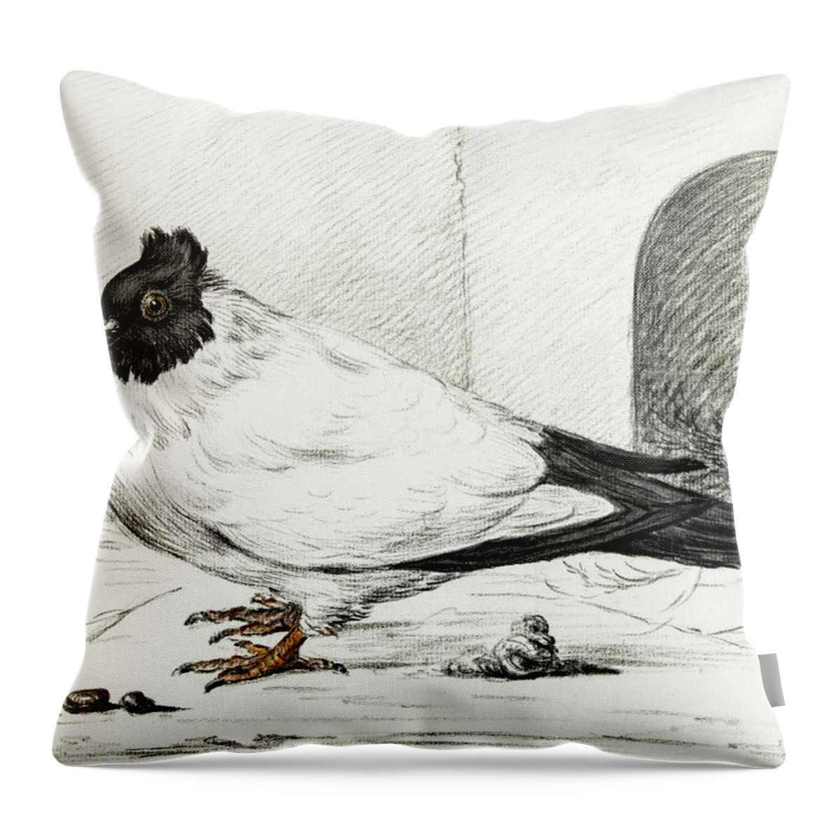 Animal Throw Pillow featuring the painting Pigeon and a nest with an egg #1 by MotionAge Designs
