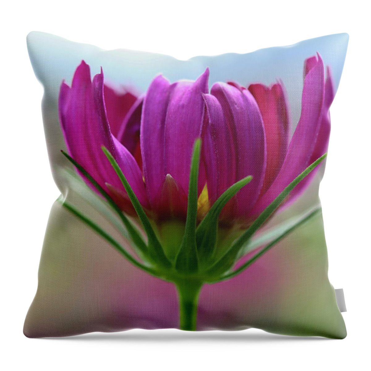 Flower Throw Pillow featuring the photograph Poised Perfection #1 by Mary Anne Delgado
