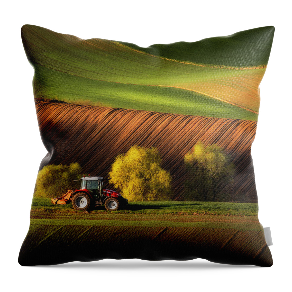 Europe Throw Pillow featuring the photograph Polish spring #1 by Piotr Skrzypiec