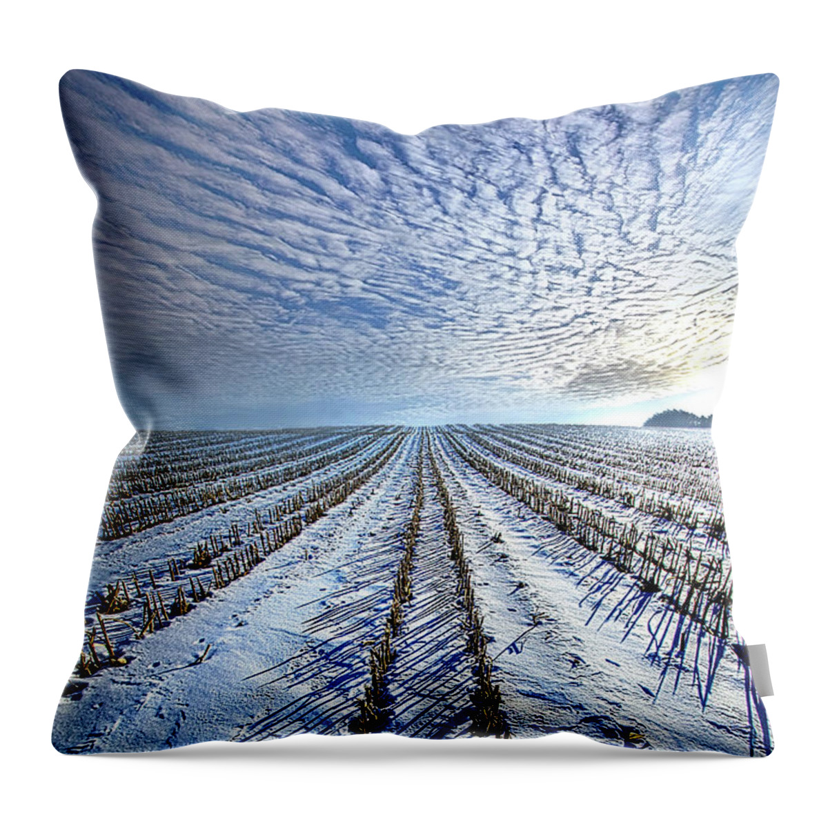 Fineart Throw Pillow featuring the photograph Prelude #1 by Phil Koch