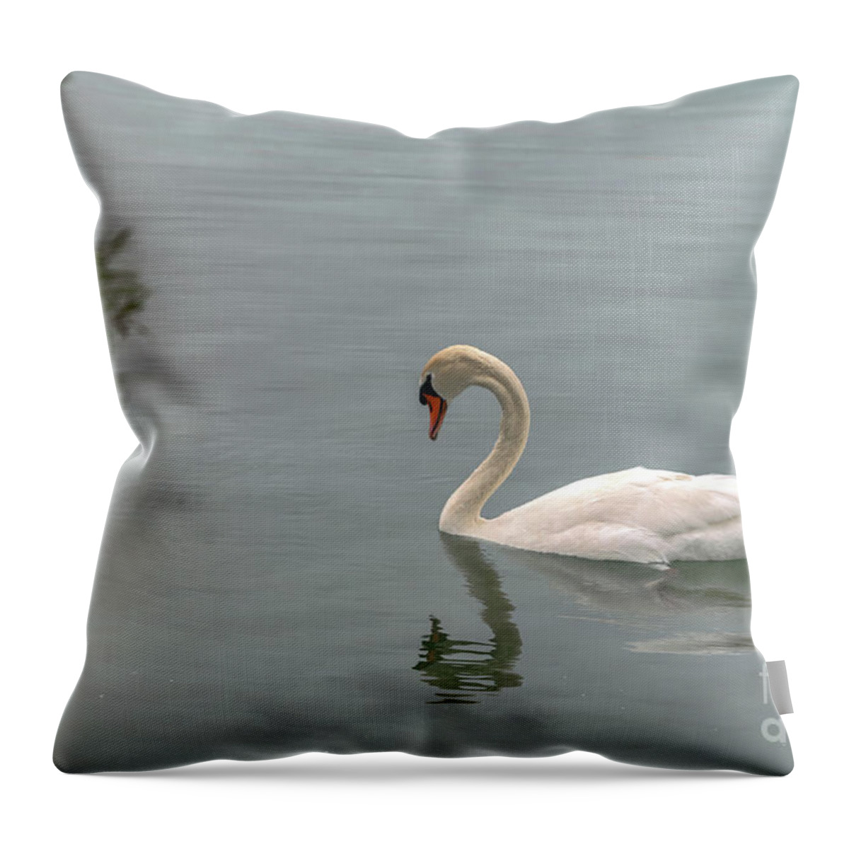 Michelle Meenawong Throw Pillow featuring the photograph Quietude #1 by Michelle Meenawong