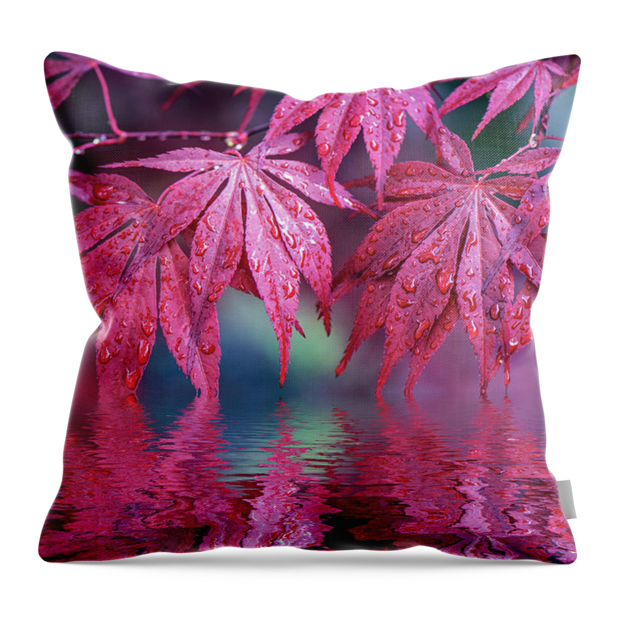 Maple Throw Pillow featuring the photograph Red Reflection #1 by Philippe Sainte-Laudy