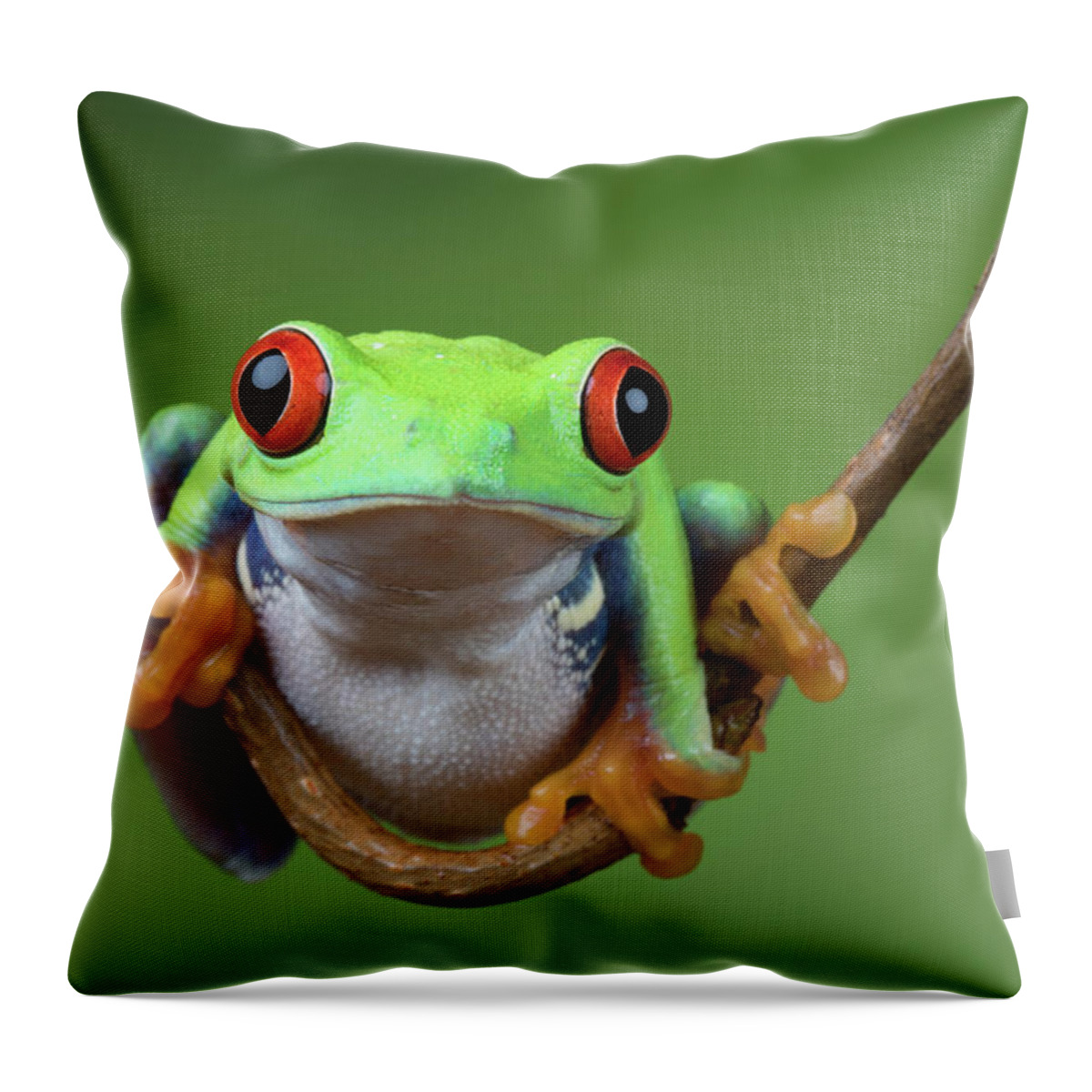 Frogs Throw Pillow featuring the photograph Retf-0012 #1 by Miles Herbert