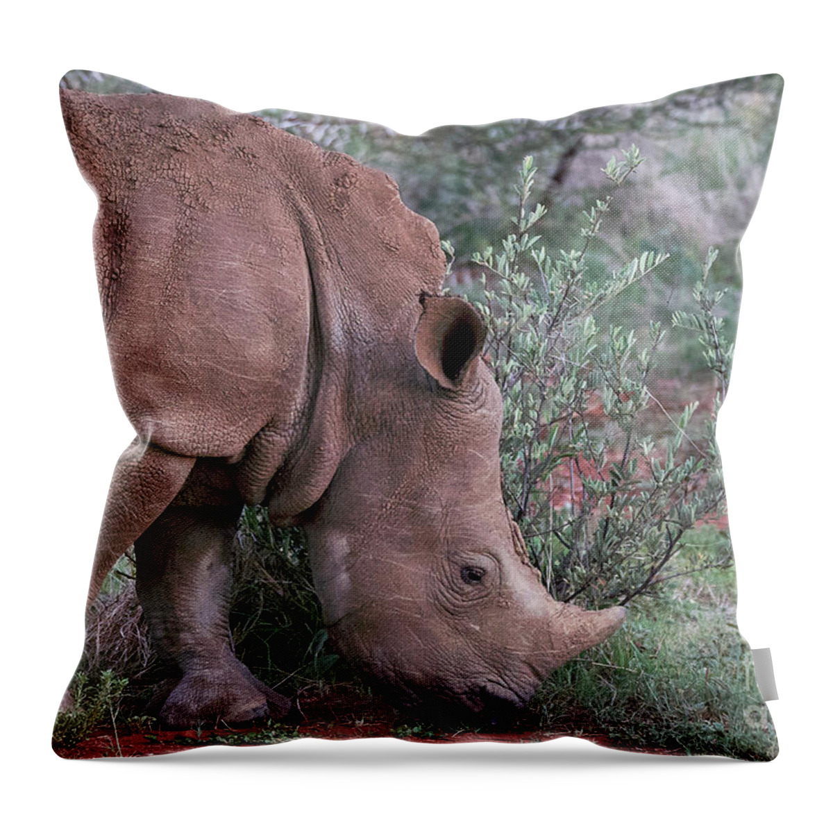 Vacations Throw Pillow featuring the photograph Rhino Portrait #1 by Brian Kamprath