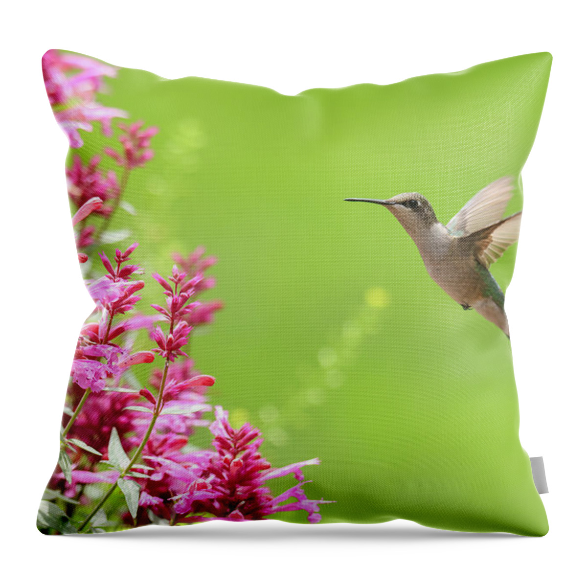 Ruby Throated Humingbird Throw Pillow featuring the photograph Ruby Throated Humingbird #1 by Brook Burling