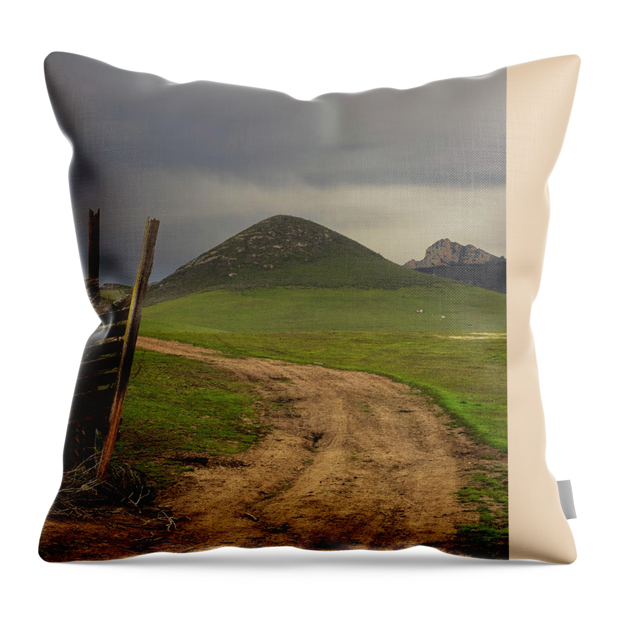  Throw Pillow featuring the photograph San Luis Obispo #2 by Lars Mikkelsen