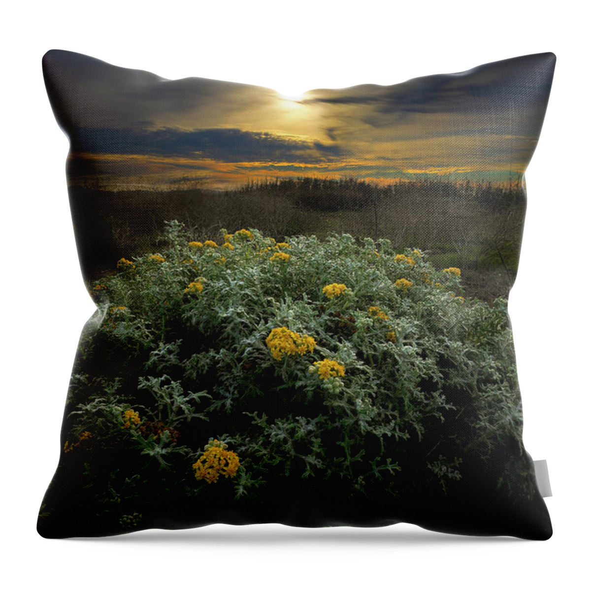  Throw Pillow featuring the photograph San Simeon #1 by Lars Mikkelsen