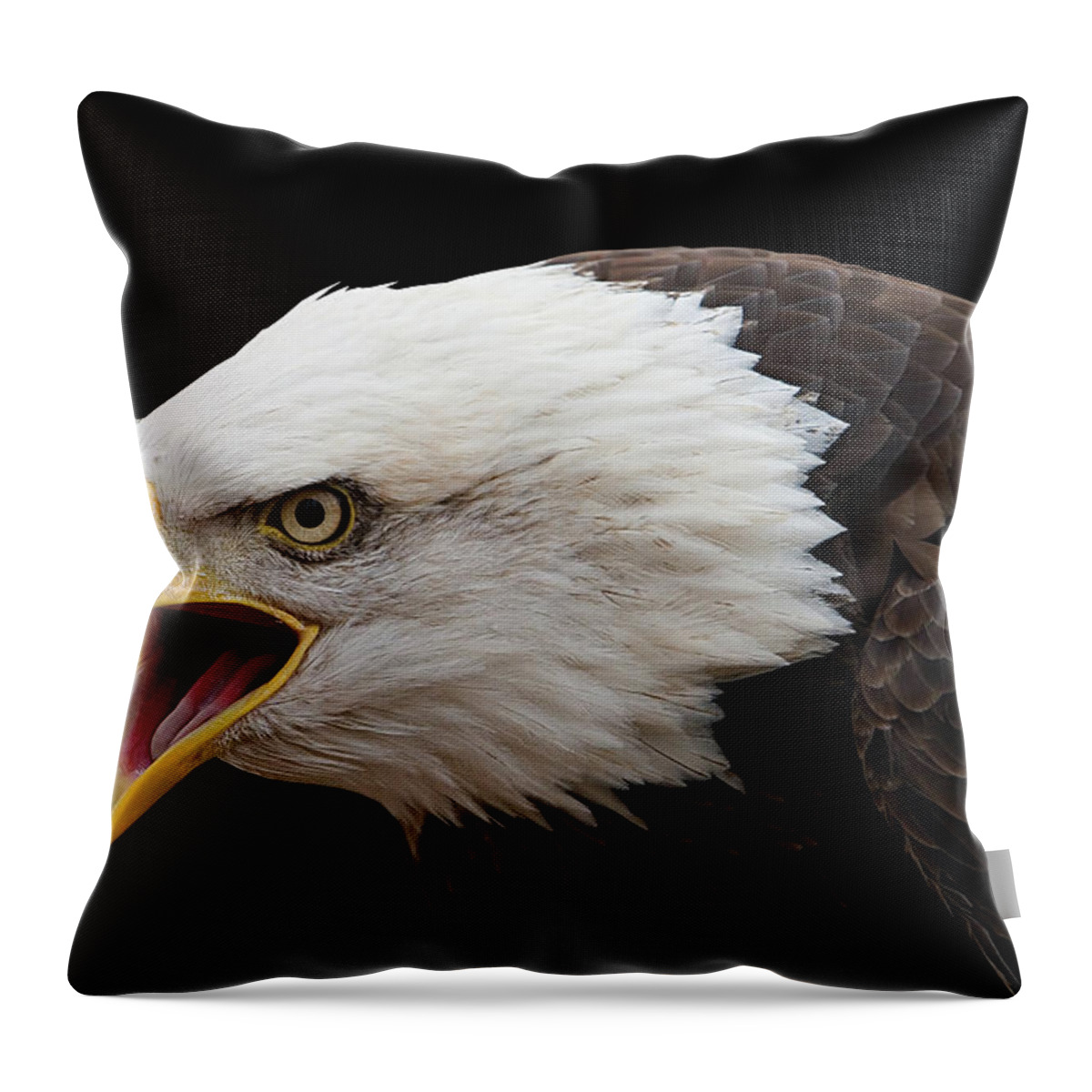 Screaming Eagle Throw Pillow featuring the photograph Screaming Eagle #1 by Randall Allen