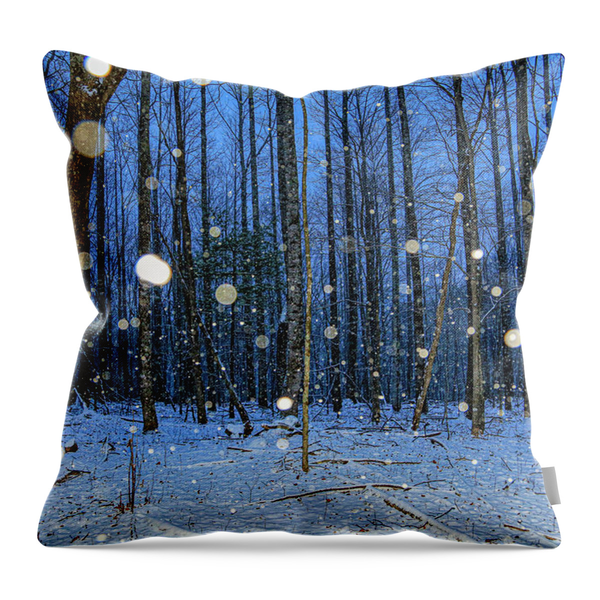 Forest Throw Pillow featuring the photograph Snowy Woods #1 by Dale R Carlson