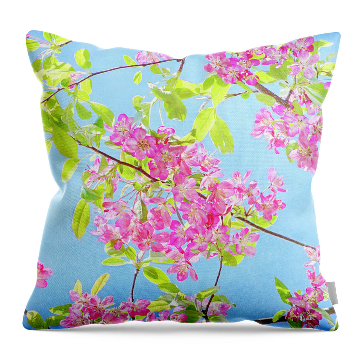 Crabapple Blossoms Throw Pillow featuring the photograph Spring Glory #2 by Kathi Mirto