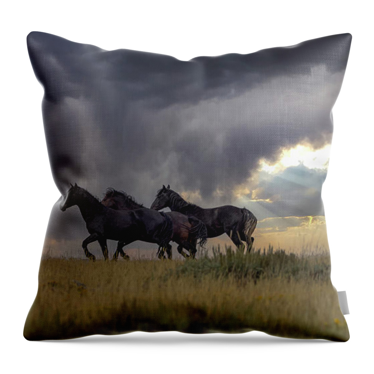 Horse Throw Pillow featuring the photograph Stallions #1 by Laura Terriere