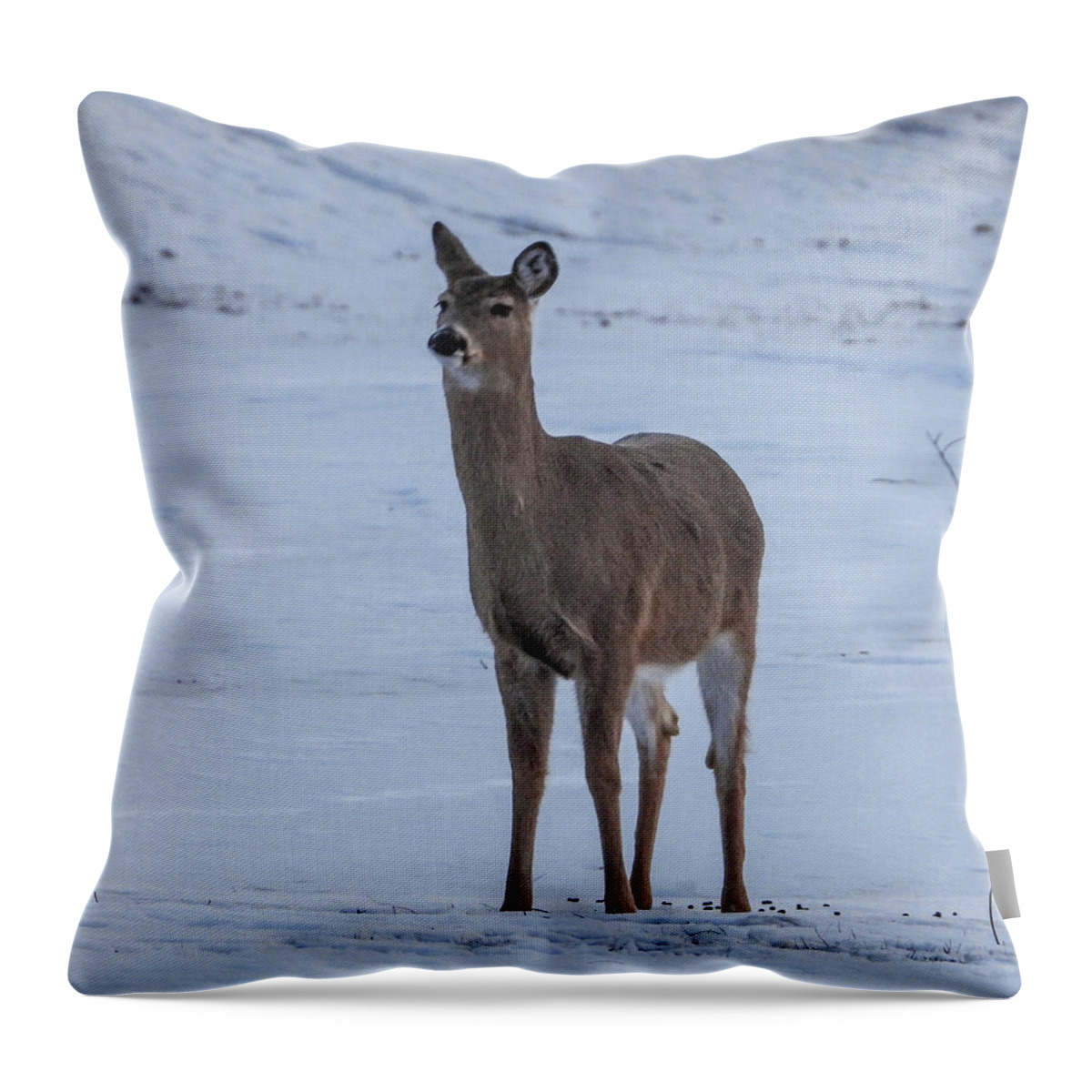  Throw Pillow featuring the photograph Standing Alone #1 by Wendy Carrington