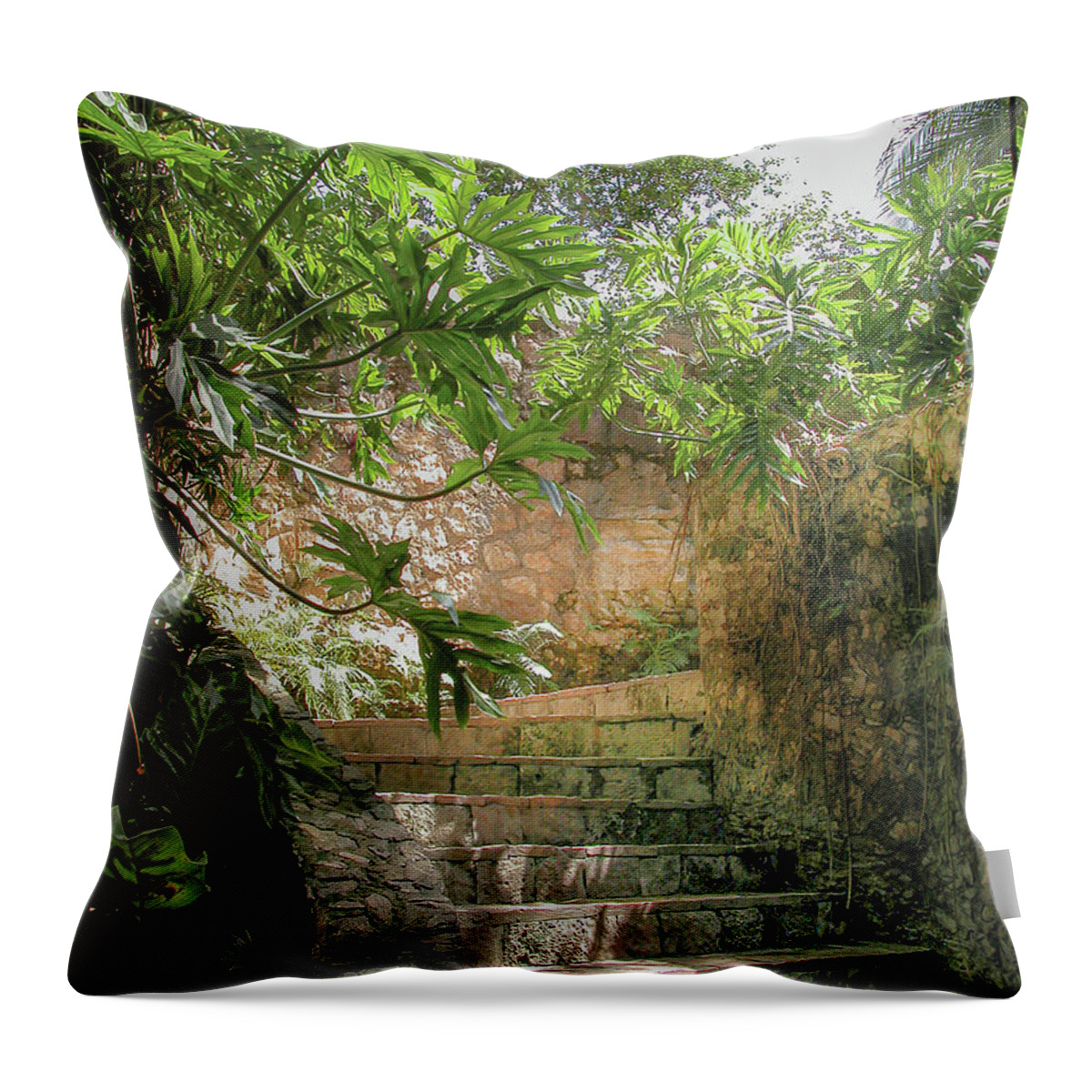 Chichen Itza Throw Pillow featuring the photograph Steps near cenote - Chichen Itza #1 by Frank Mari
