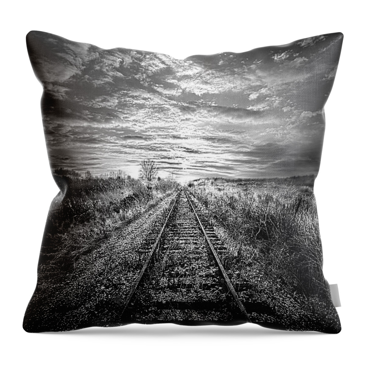 Peace Throw Pillow featuring the photograph Stories to be Told #1 by Phil Koch