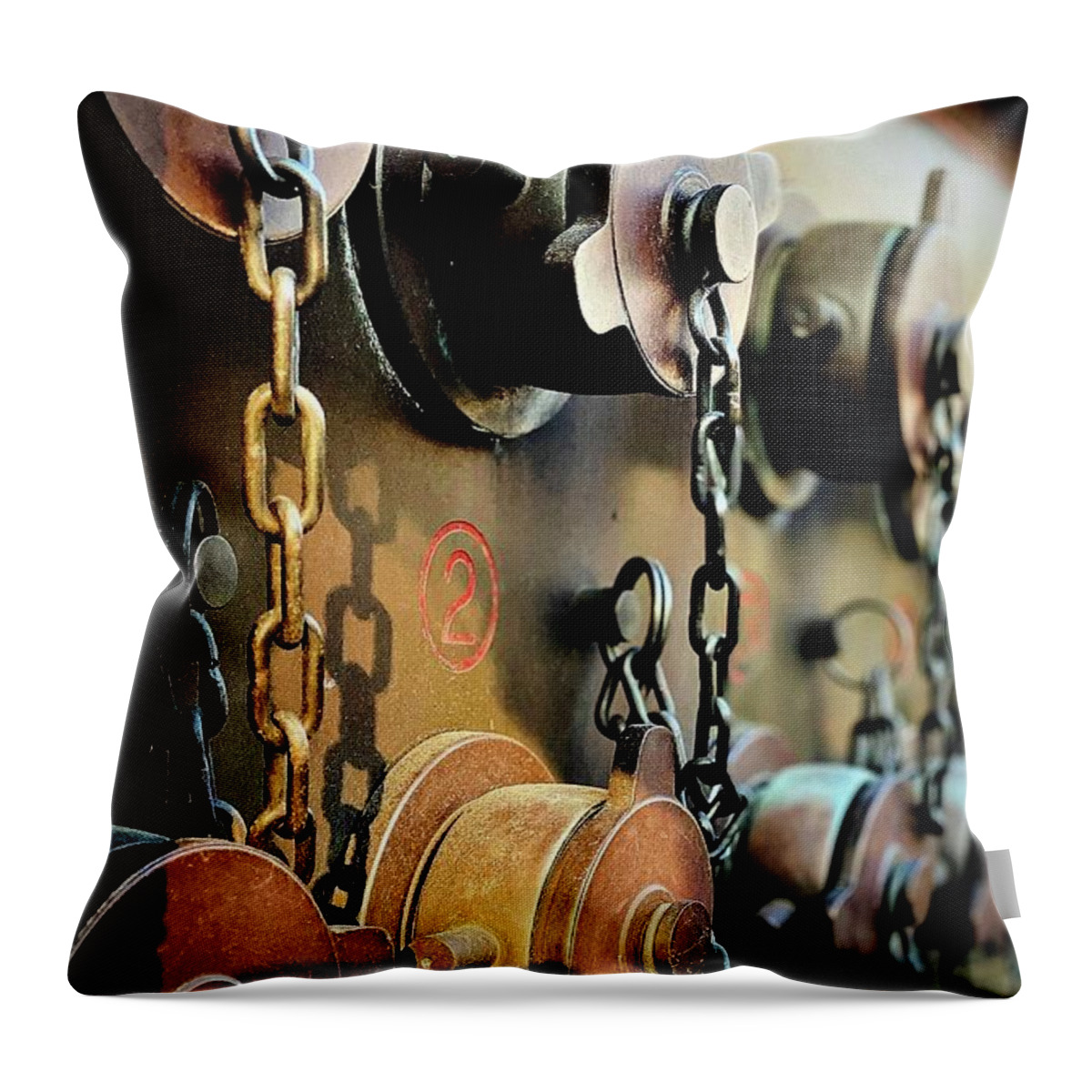 Rust Throw Pillow featuring the photograph Street Jewels #1 by Eena Bo
