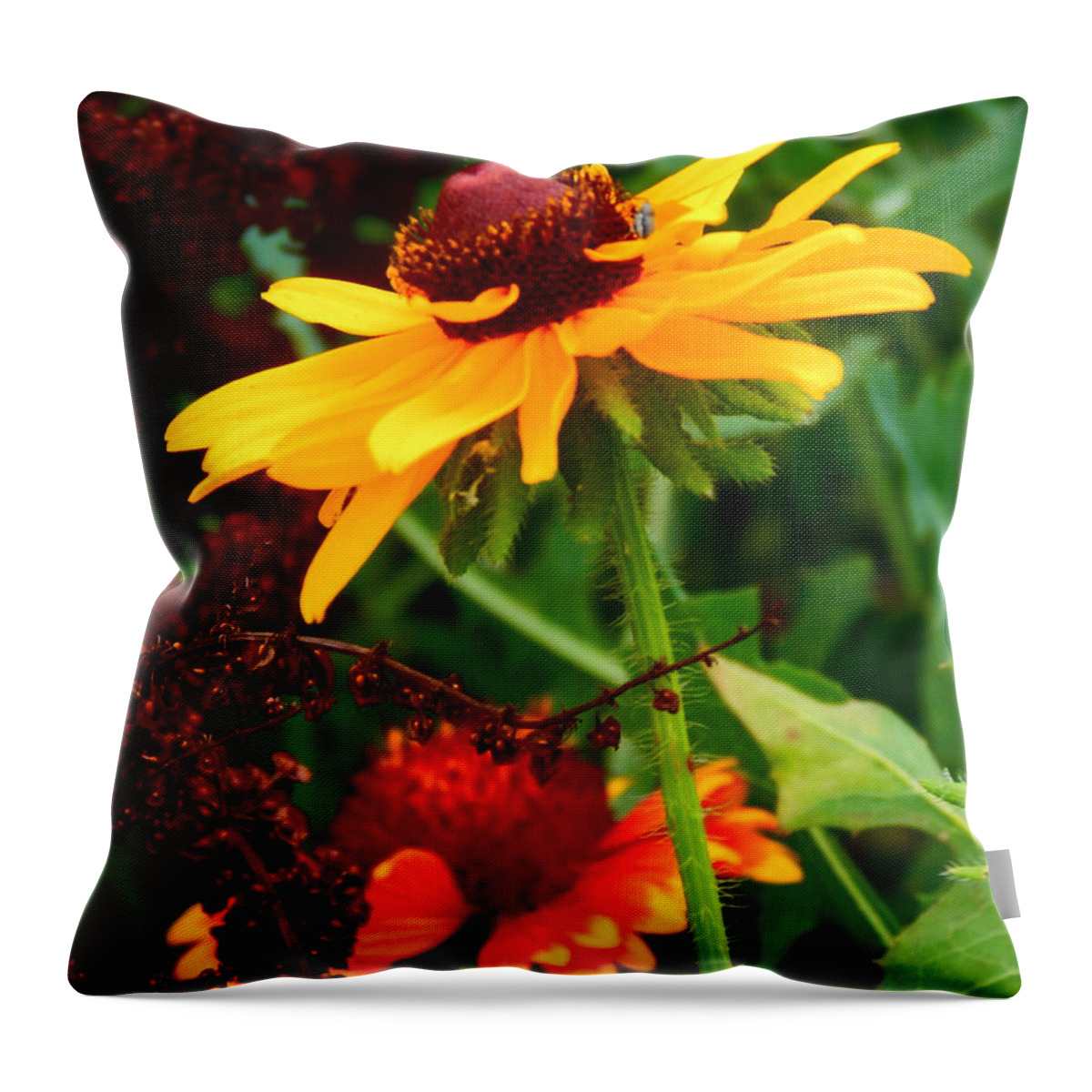 Summer Throw Pillow featuring the photograph Summer Blossoms #1 by Virginia White