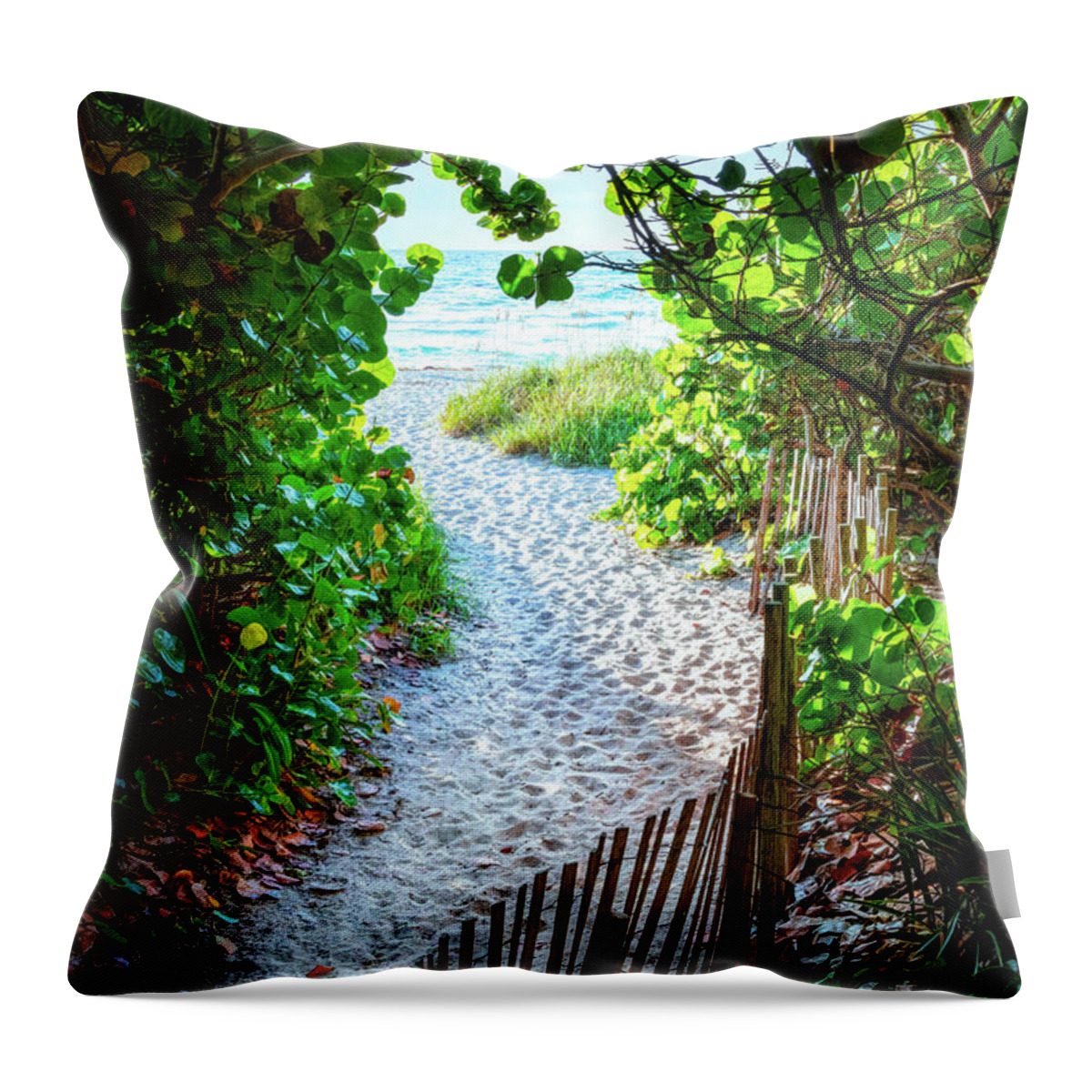 Clouds Throw Pillow featuring the photograph Summer Sand Dunes #1 by Debra and Dave Vanderlaan