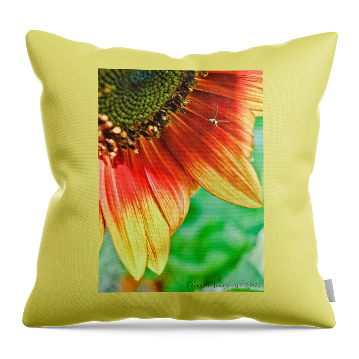  Throw Pillow featuring the photograph Sunflower #1 by Stephen Dorton