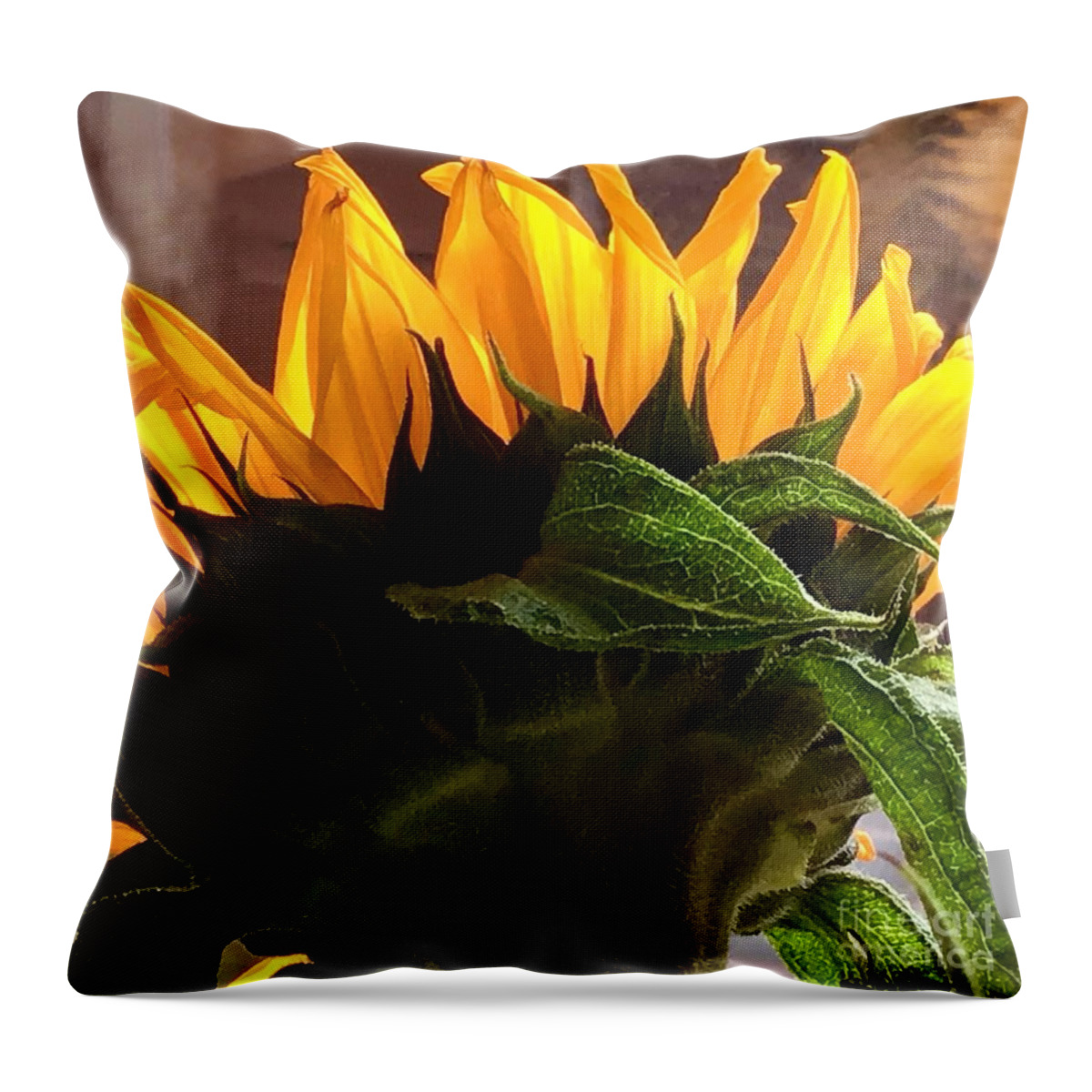 Sunflower Throw Pillow featuring the photograph Sunflower Sunshine by Joan-Violet Stretch
