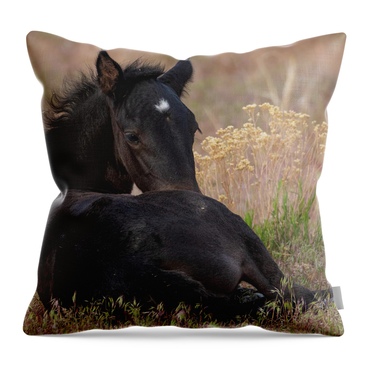 Wild Horses Throw Pillow featuring the photograph Sweetness #1 by Mary Hone