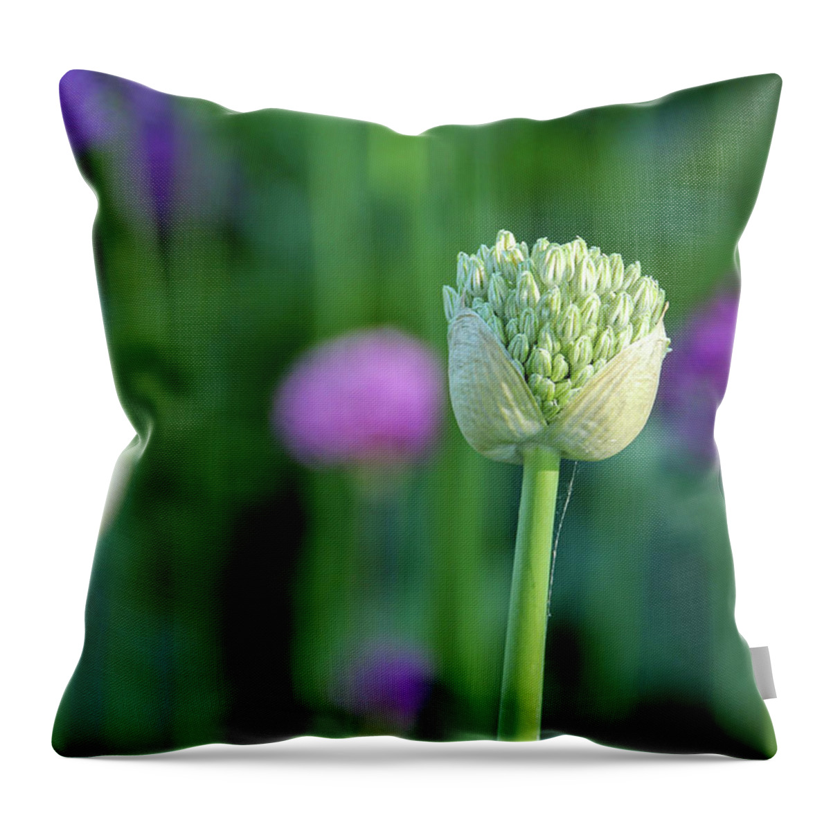 Allium Throw Pillow featuring the photograph The Birth of an Allium #1 by Robert Carter