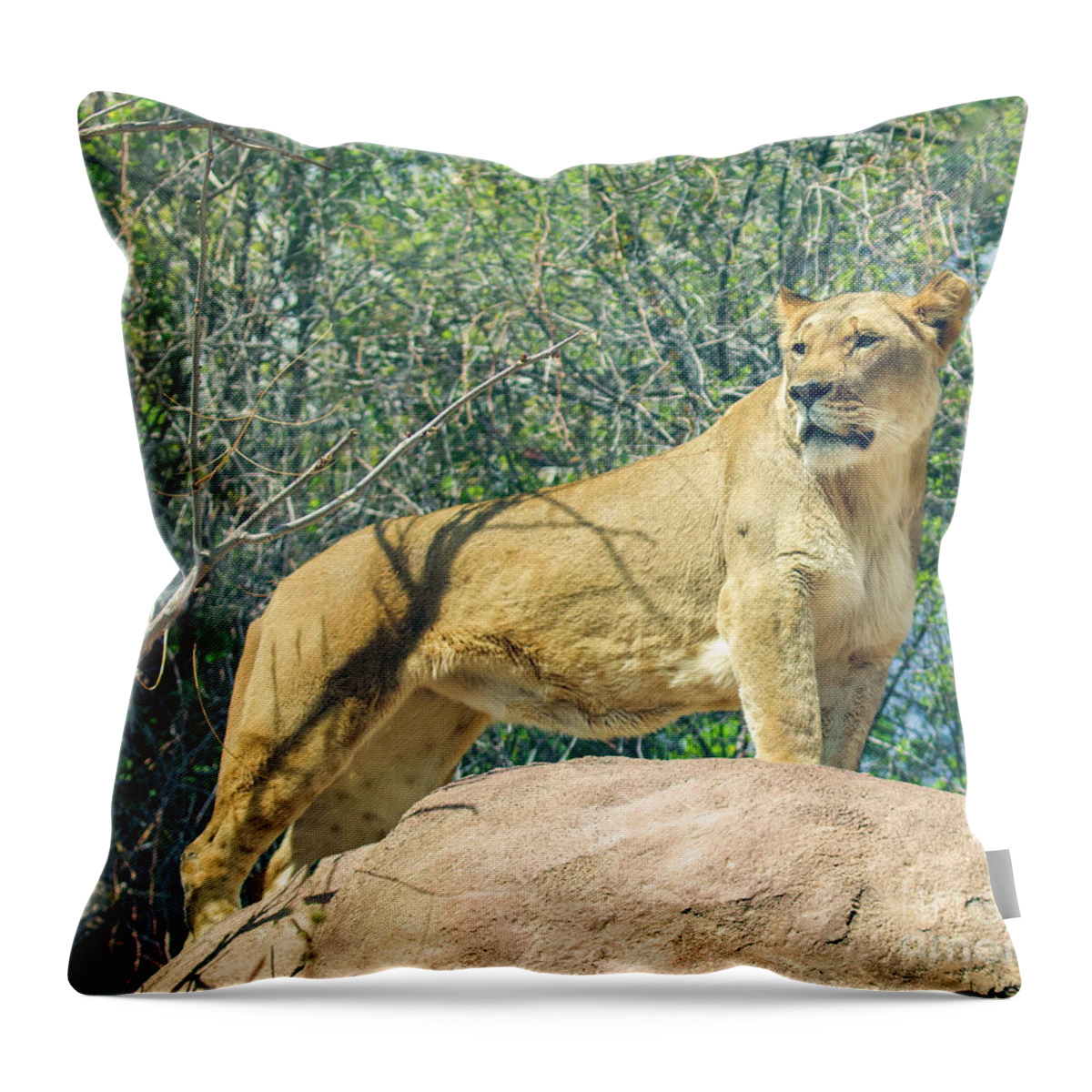 Lion Throw Pillow featuring the photograph The Lookout #1 by Shirley Dutchkowski