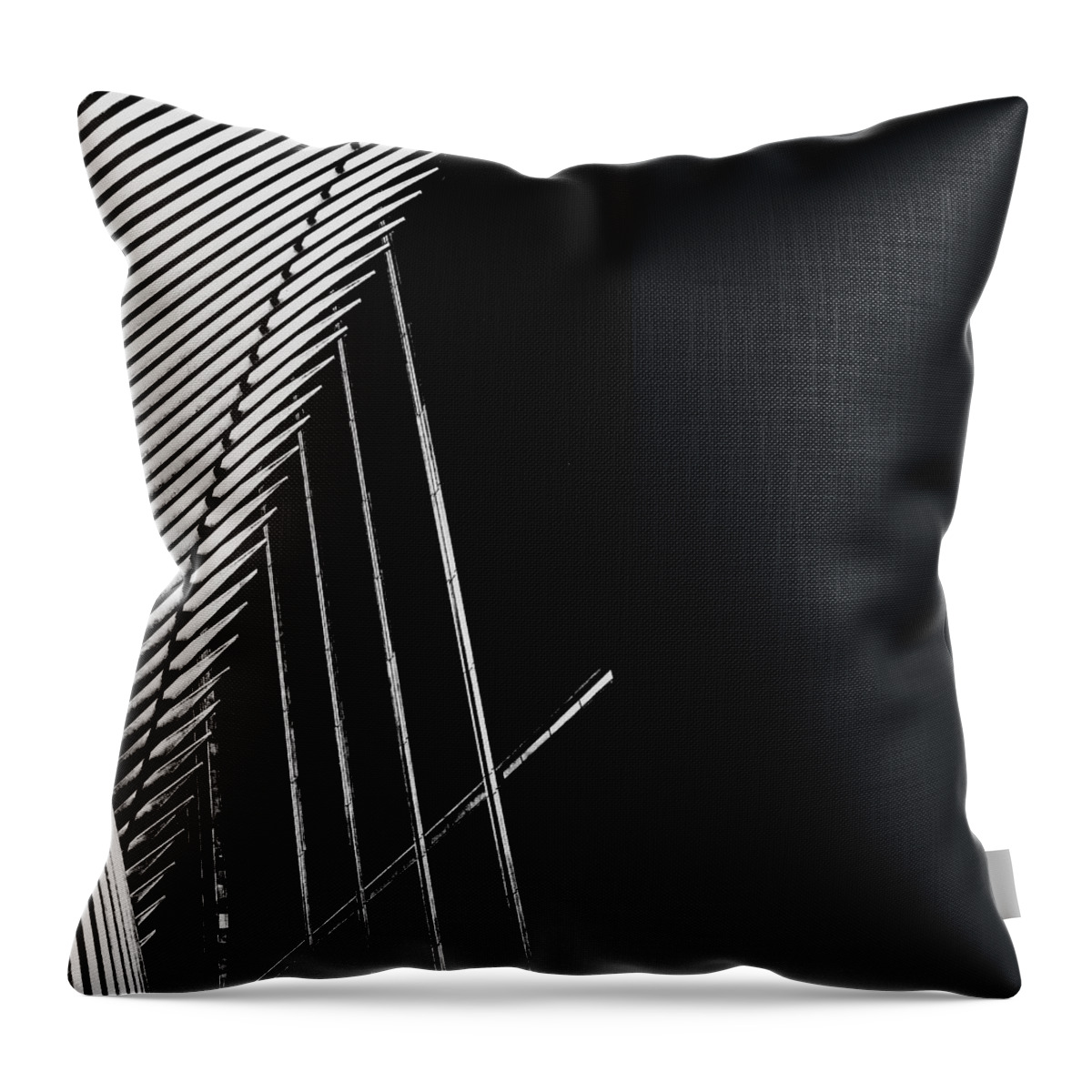The Oculus Throw Pillow featuring the photograph The Oculus Details by Alina Oswald