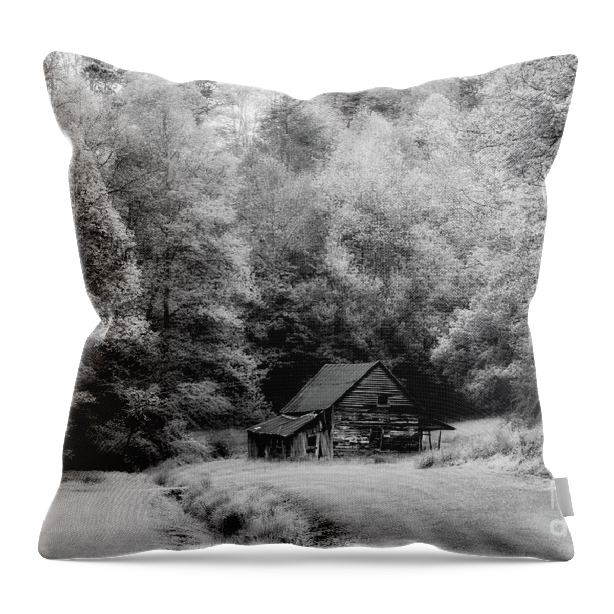 Building Throw Pillow featuring the photograph The Old Homestead #1 by Nicki McManus