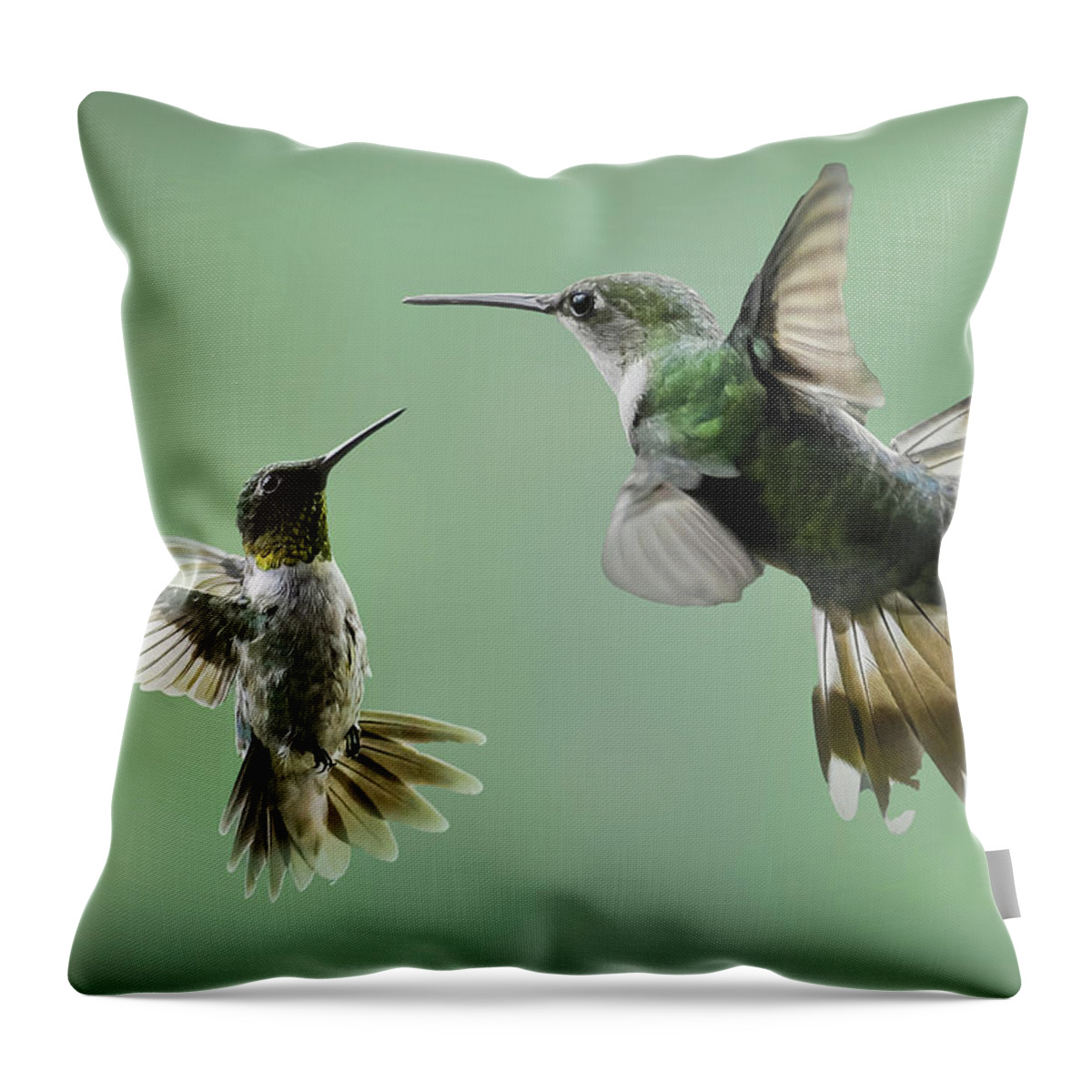Ruby Throated Hummingbird In Flight Throw Pillow featuring the photograph The Ruby Throated Hummingbird In Flight #1 by Sandra J's