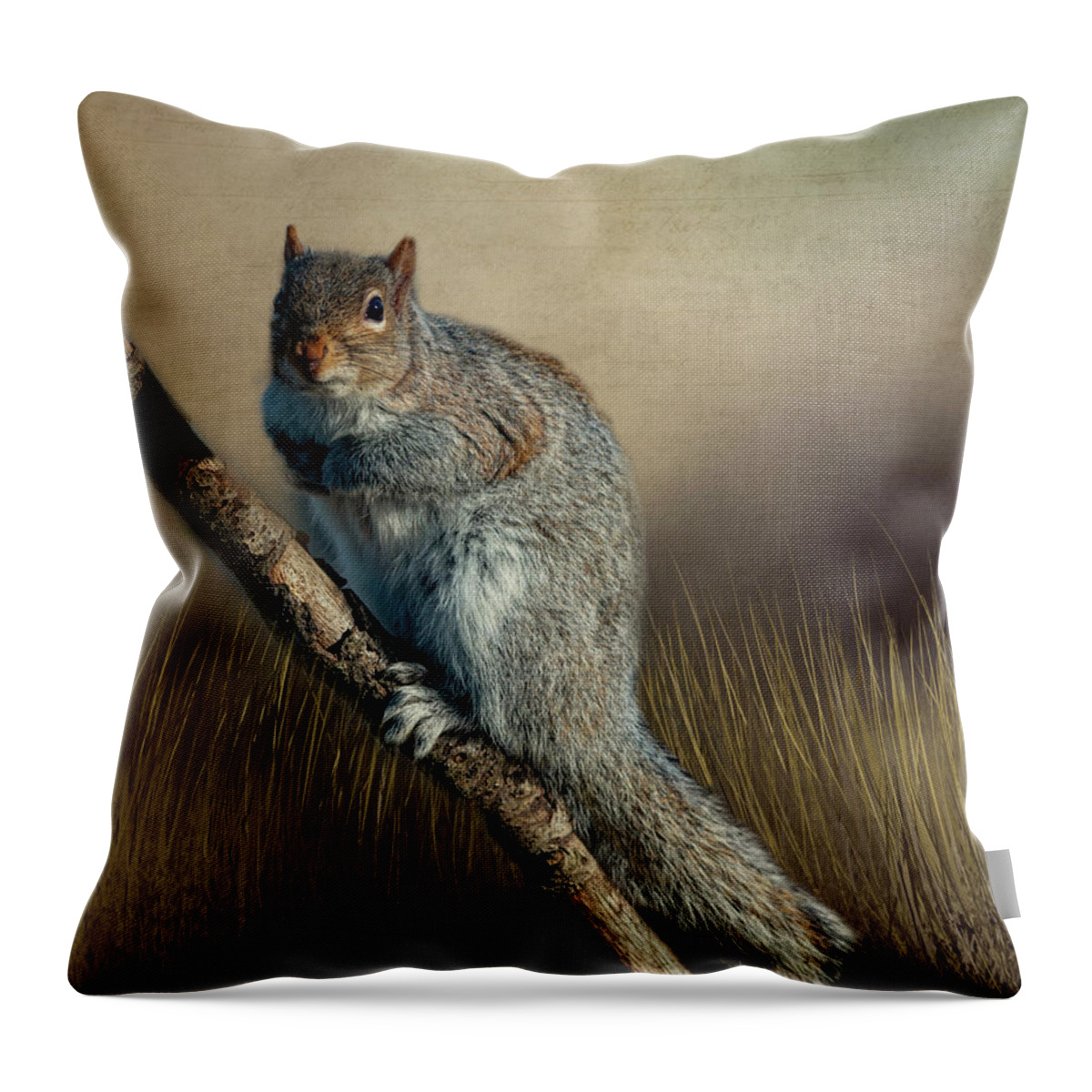 Nature Throw Pillow featuring the photograph The Squirrel #1 by Cathy Kovarik