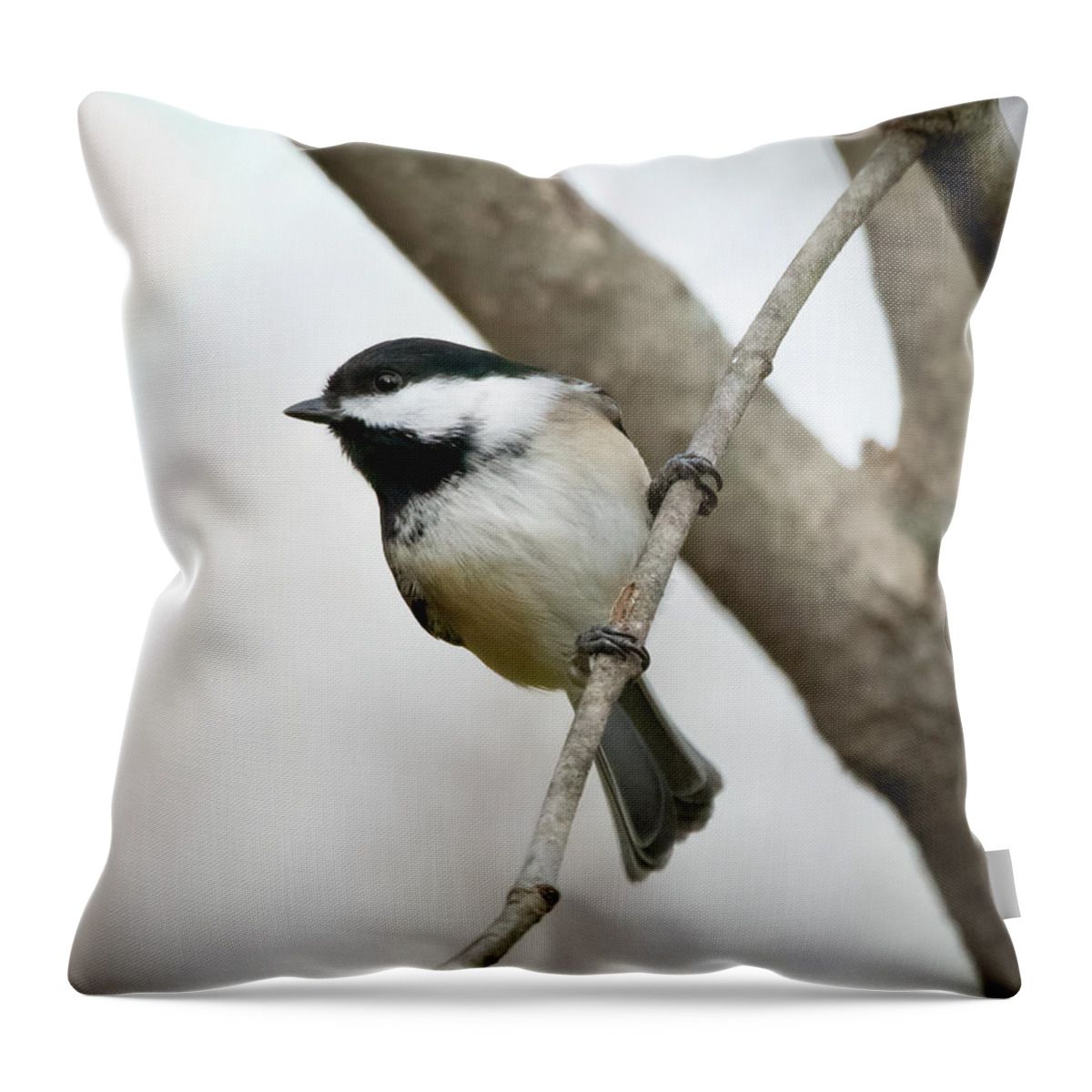 Chickadee Throw Pillow featuring the photograph The Stare #2 by Ray Silva