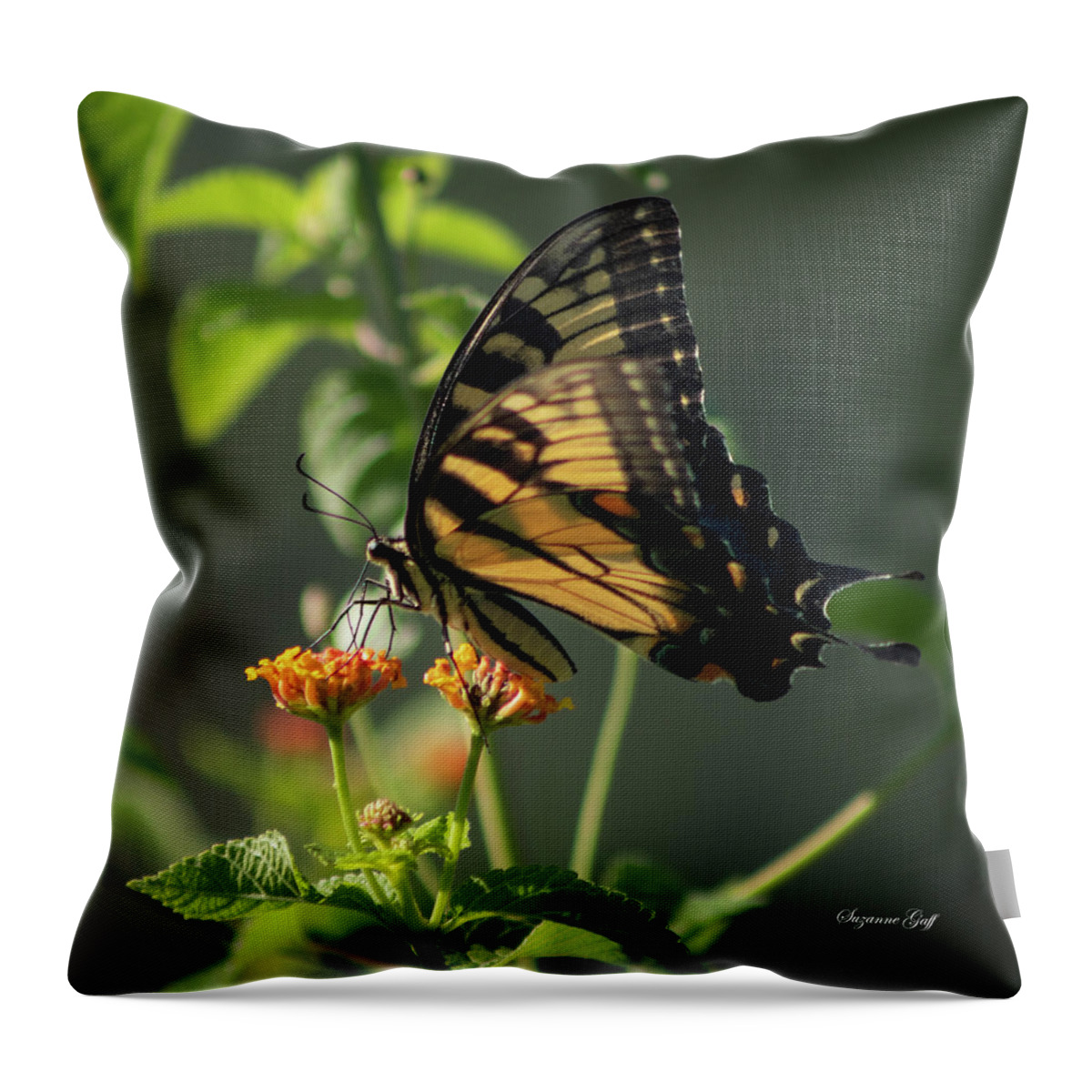 Photograph Throw Pillow featuring the photograph Tiger Swallowtail Butterfly III #1 by Suzanne Gaff