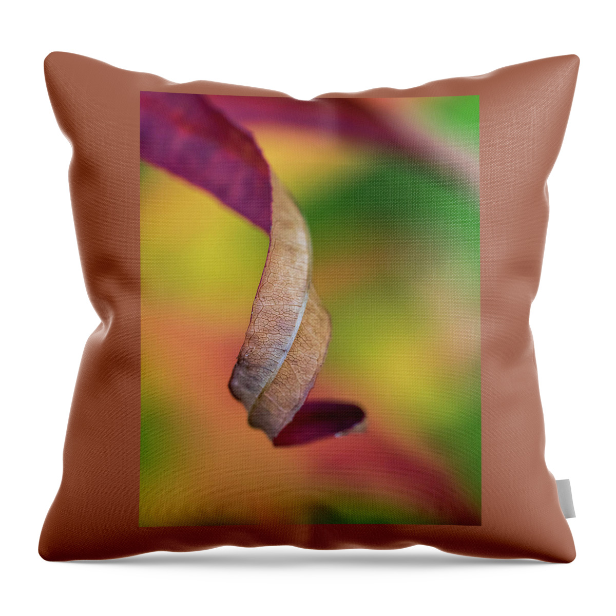 Curve Throw Pillow featuring the photograph Twist #1 by Lynn Wohlers
