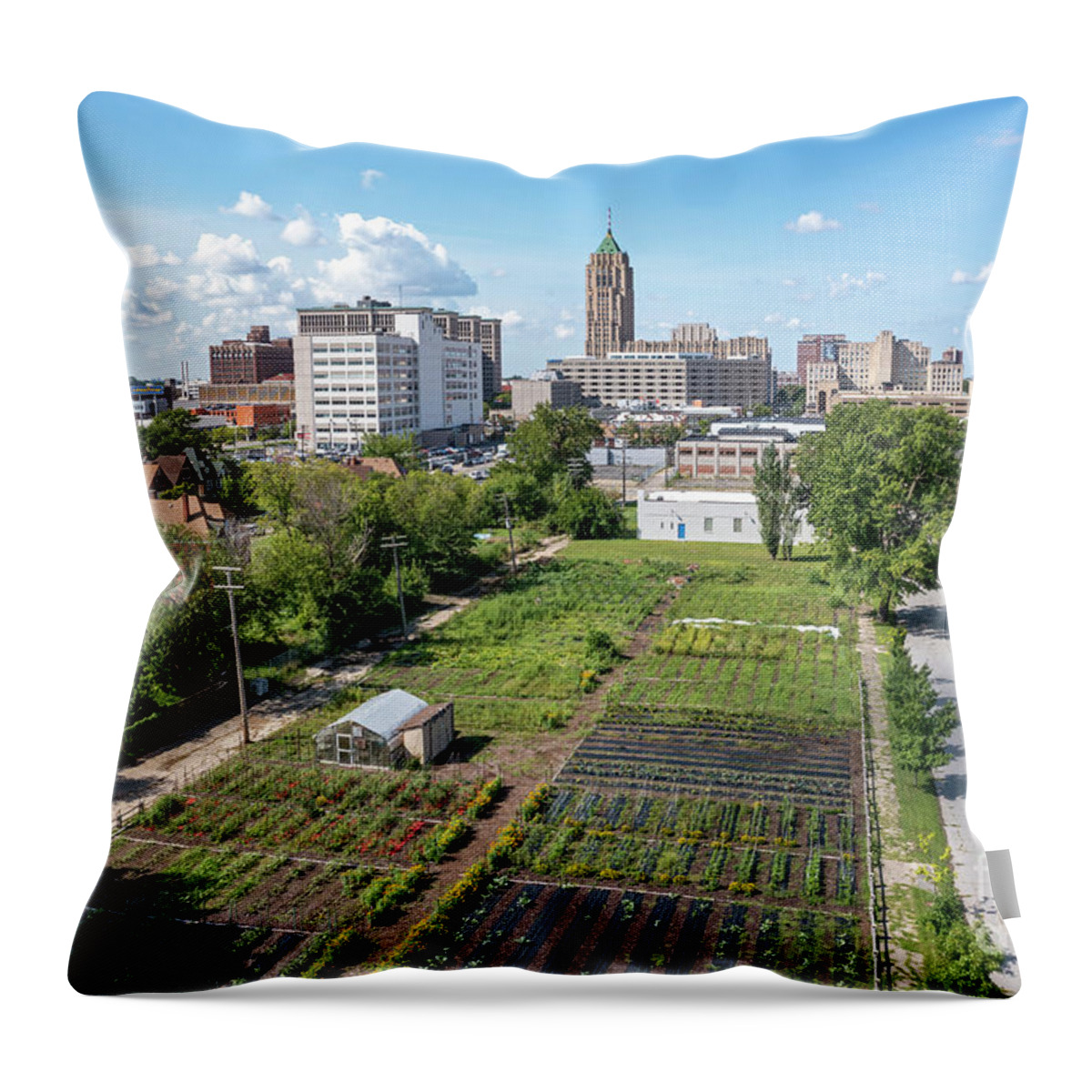 Farm Throw Pillow featuring the photograph Urban Farm #1 by Jim West