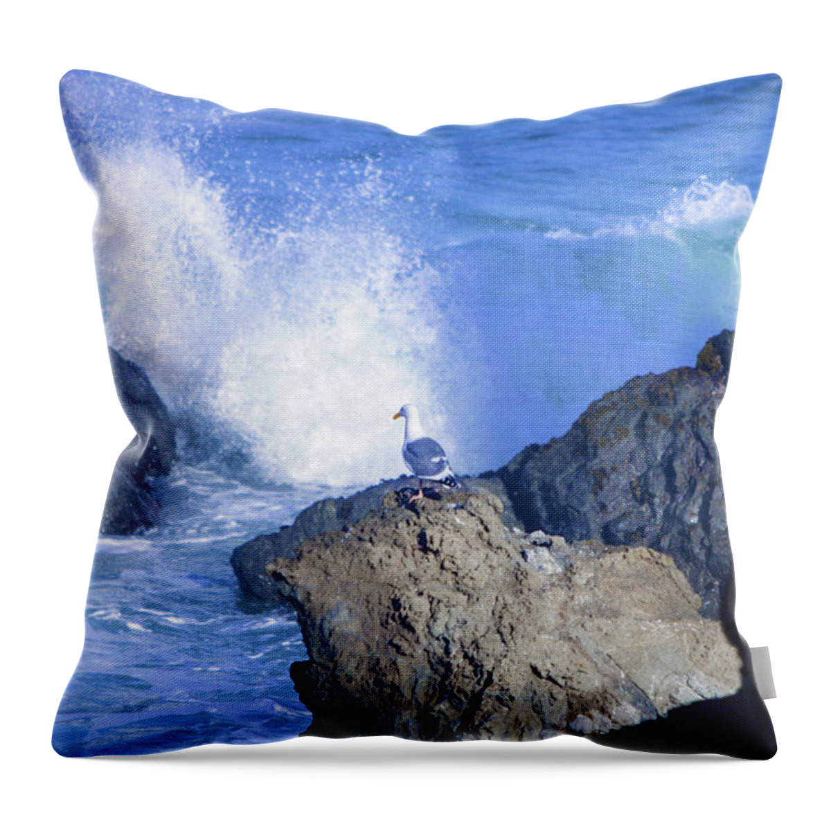 Sea Gull Throw Pillow featuring the photograph Vantage Point #2 by Kandy Hurley