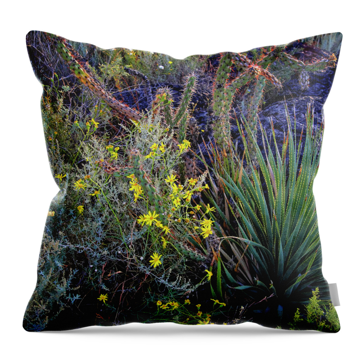 Valley Of The Fires Throw Pillow featuring the photograph Vegetation in the Valley of Fires #1 by George Taylor