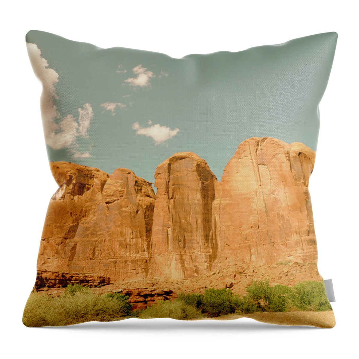 Backgrounds Throw Pillow featuring the photograph Vintage Look Desert Scene #1 by Kyle Lee
