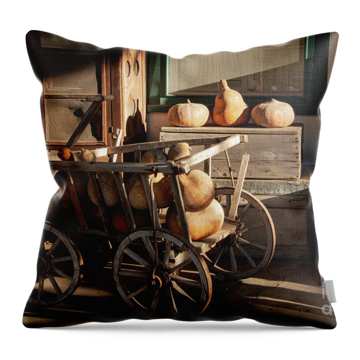 Castroville Throw Pillow featuring the photograph Wagon Full of Gourds #1 by Bob Phillips