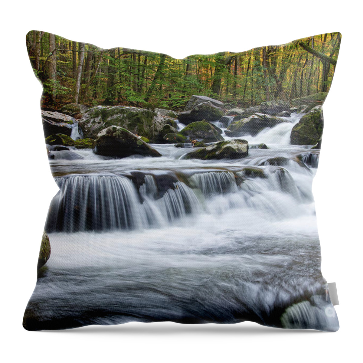 Dawn Throw Pillow featuring the photograph Waiting for the Sun #1 by Phil Perkins