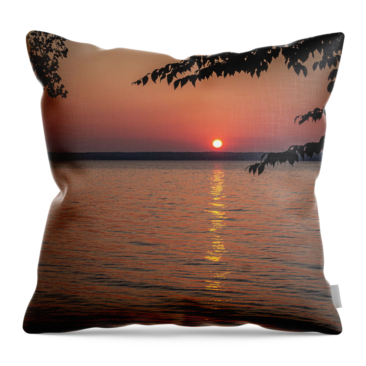 Summer Throw Pillow featuring the photograph Wake Up Call #1 by William Norton
