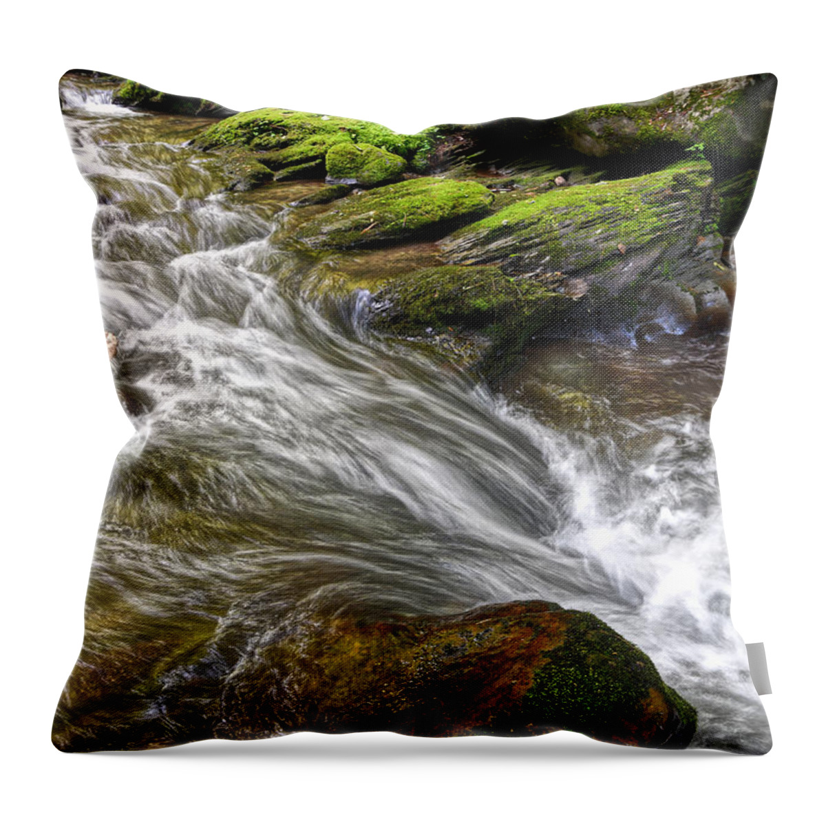 Waterfall Throw Pillow featuring the photograph Water And Moss #1 by Phil Perkins