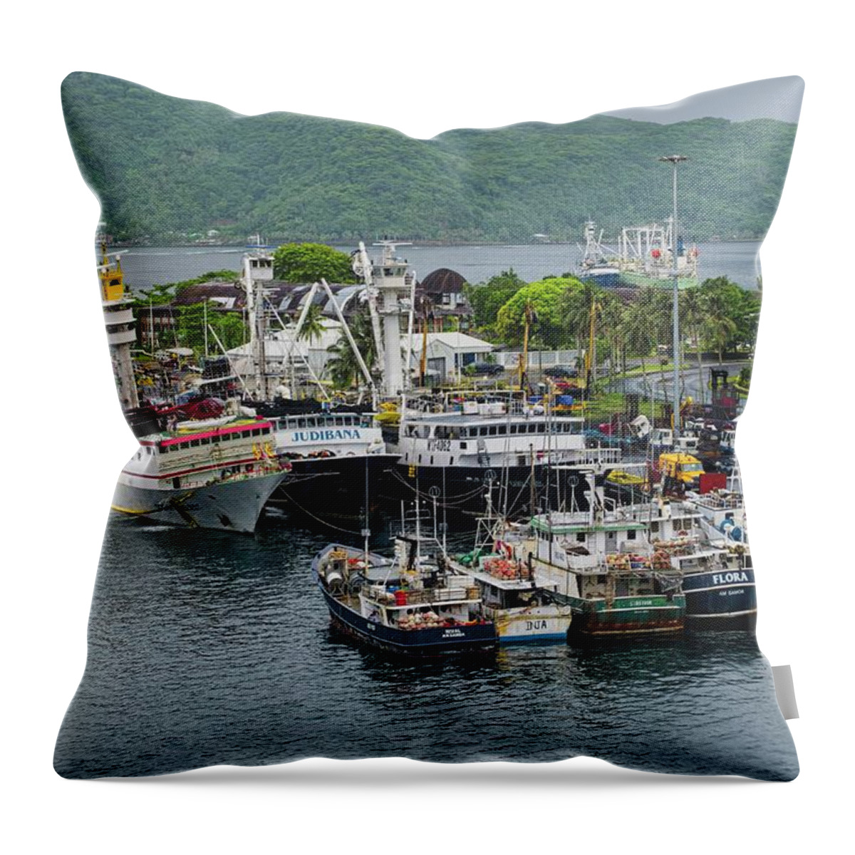Transportation Throw Pillow featuring the photograph We Are Family #2 by Lucinda Walter
