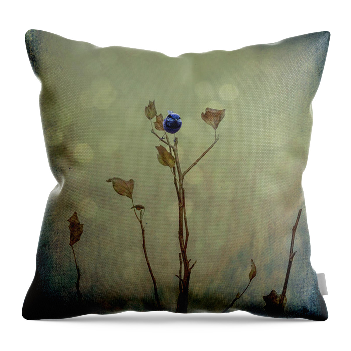 Autumn Throw Pillow featuring the photograph What's Left #1 by Elaine Teague