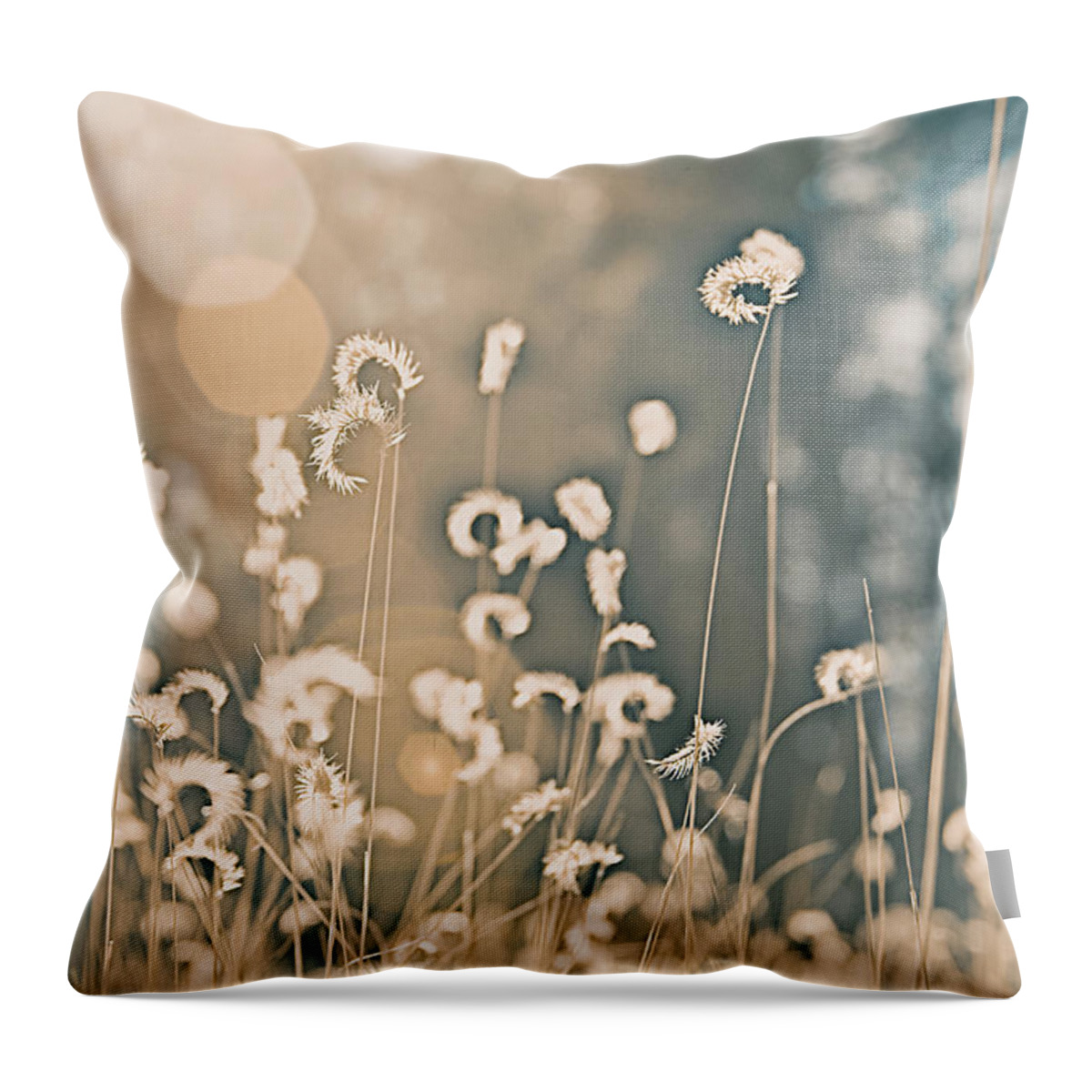 Wheat Throw Pillow featuring the photograph Wheat Fields #1 by Carmen Kern
