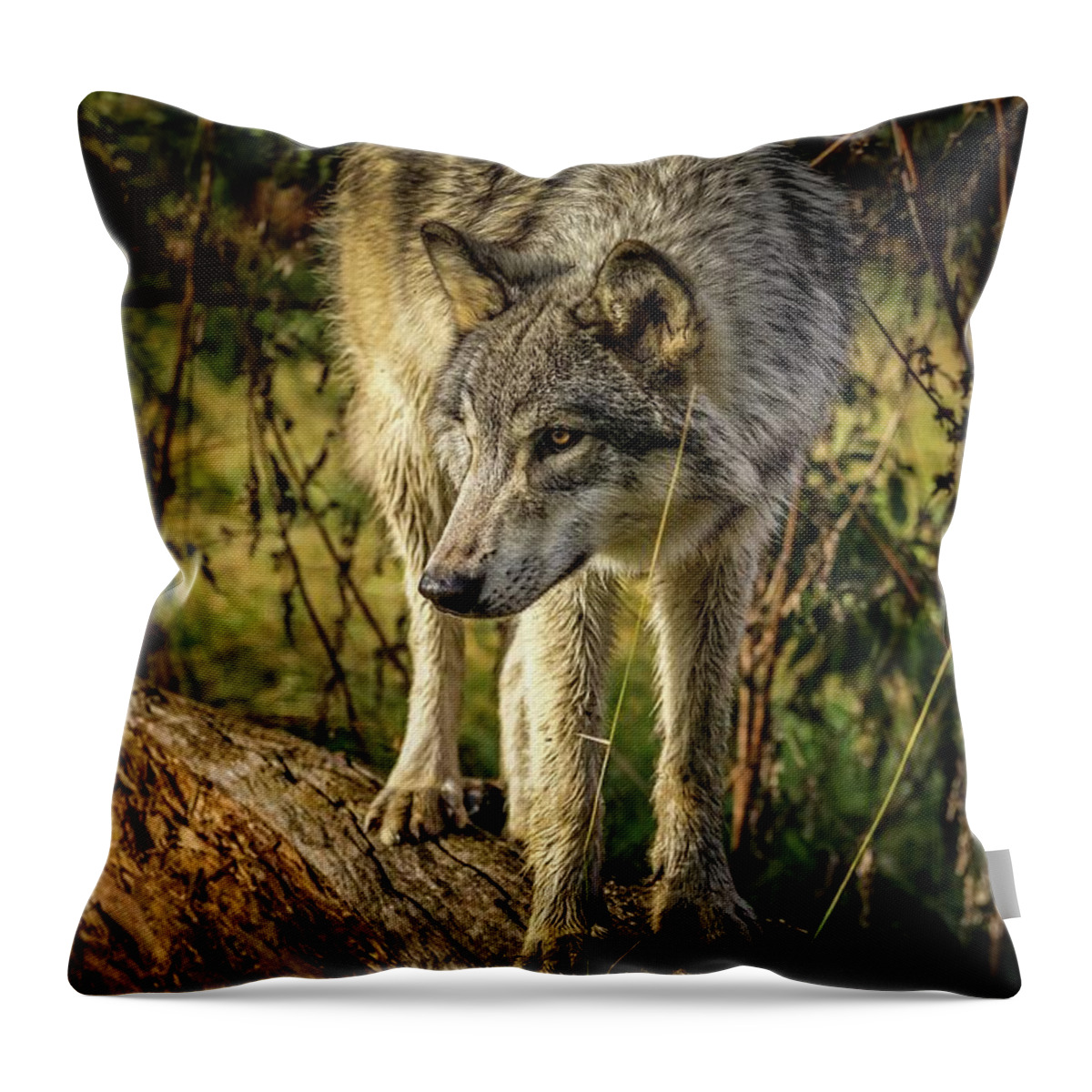 Wolf Throw Pillow featuring the photograph Wildlife #1 by Brian Venghous