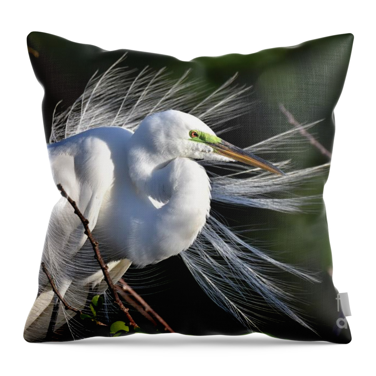 Great White Egret Throw Pillow featuring the photograph Windy Day #2 by Julie Adair