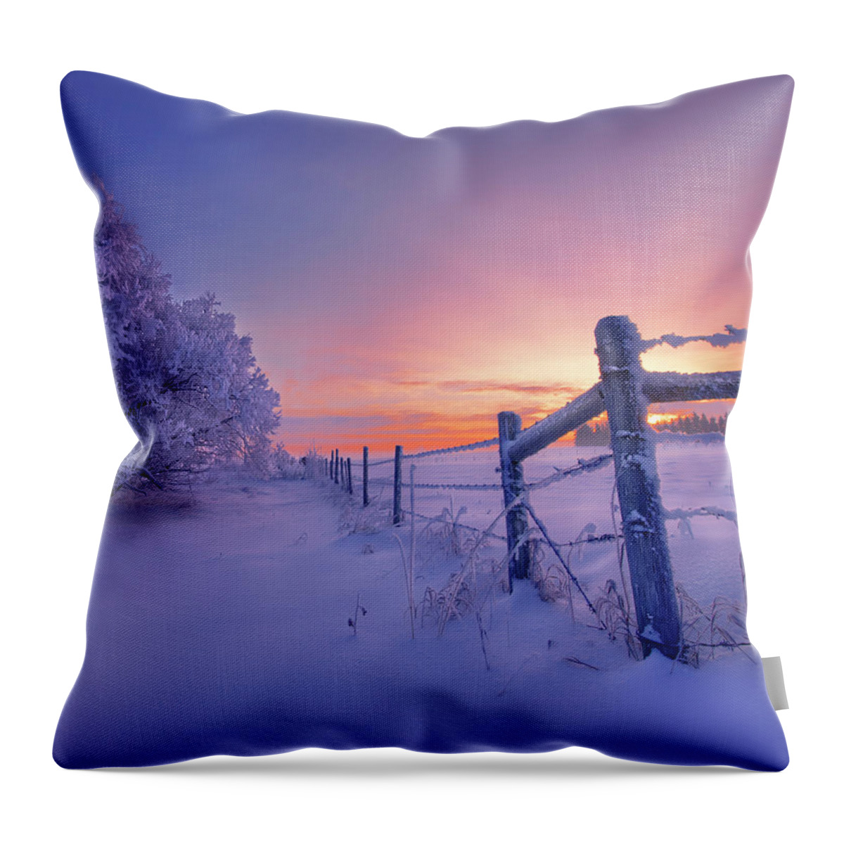 Landscape Throw Pillow featuring the photograph Winter Magic #1 by Dan Jurak