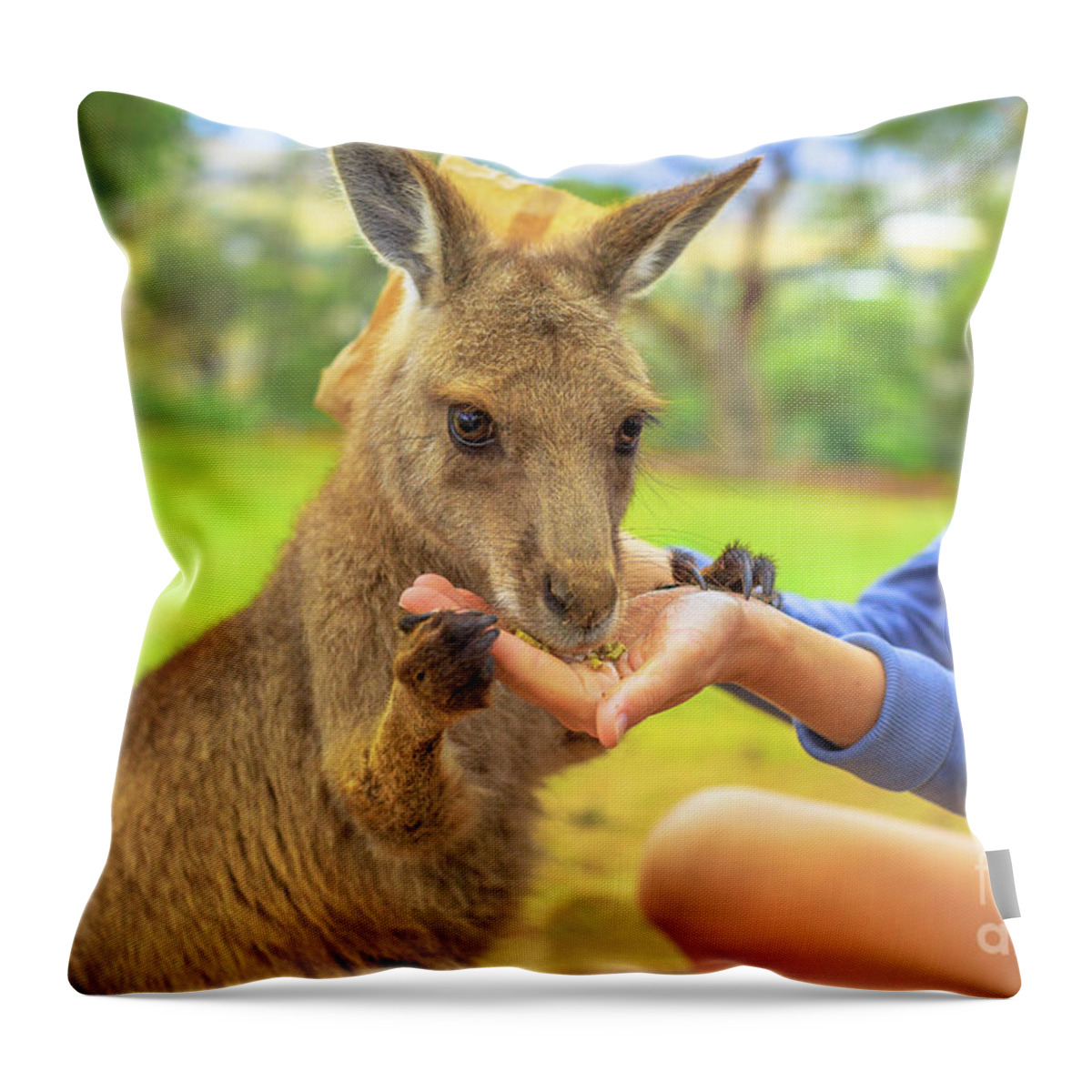 Kangaroos Throw Pillow featuring the photograph Woman with kangaroo #1 by Benny Marty
