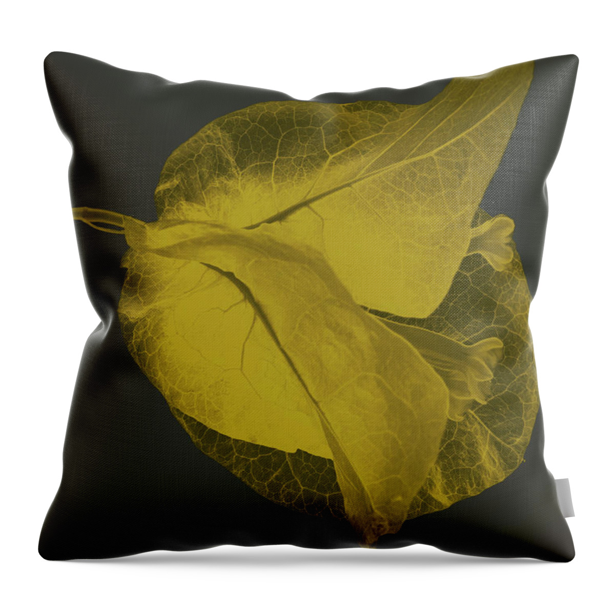Elegant Throw Pillow featuring the photograph Yellow Bougainvillea #10 by Al Fio Bonina
